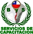 ByS Capacitación